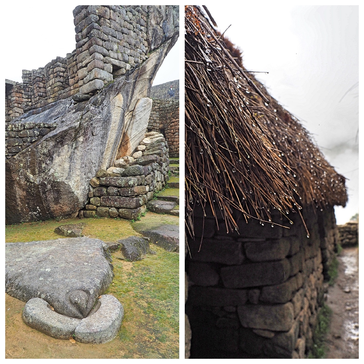 Machu Picchu, Condor & Rain