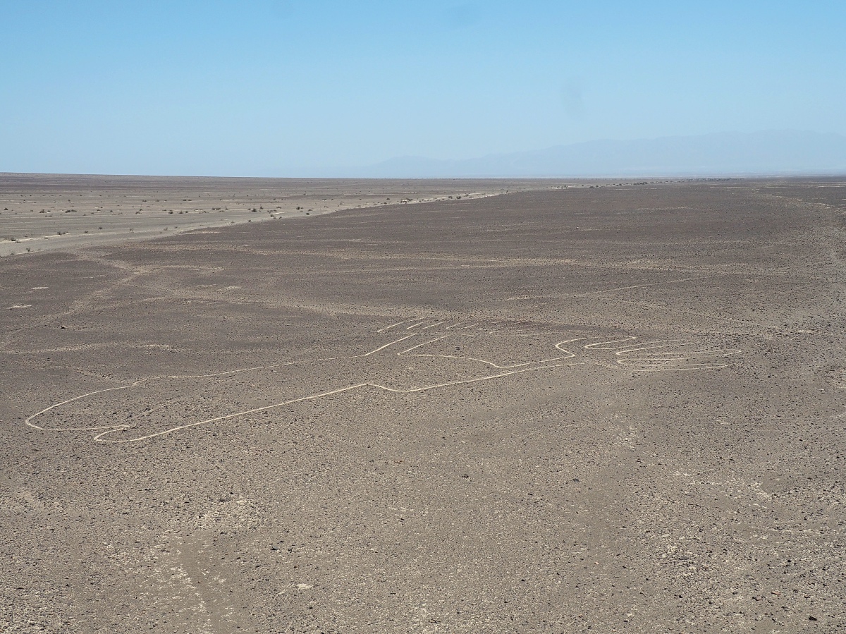 Nasca Lines