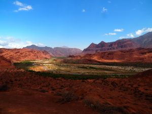 Landscape along Ruta 68 in Argentina